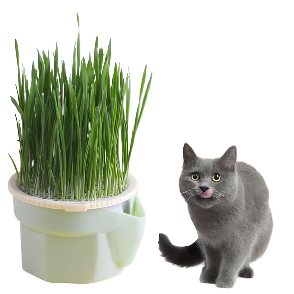 Vaso de Plantas para Gatos