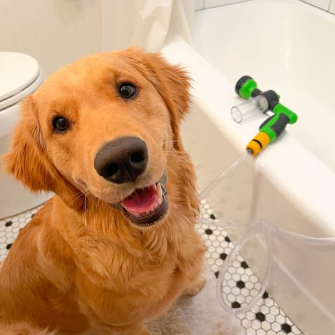 Petz Jet - A maneira rápida de dar banho em qualquer pet!