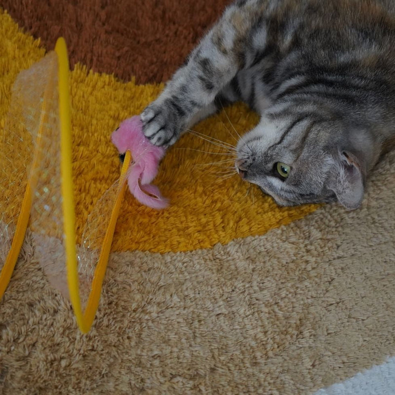 Tunicat - Brinquedo Minhoca Espiral para Gatos